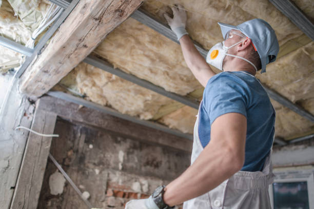 Best Home Insulation Services  in Untain View, MO