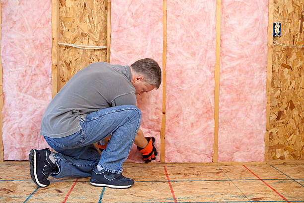 Best Spray Foam Insulation  in Untain View, MO